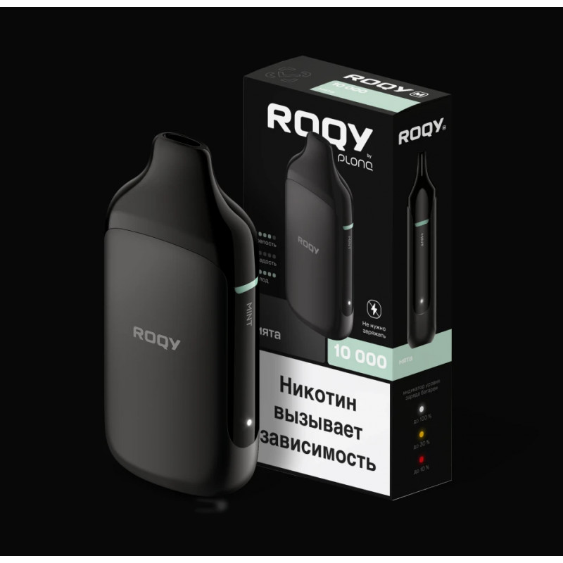 Plong ROQY M 10000 Мята
