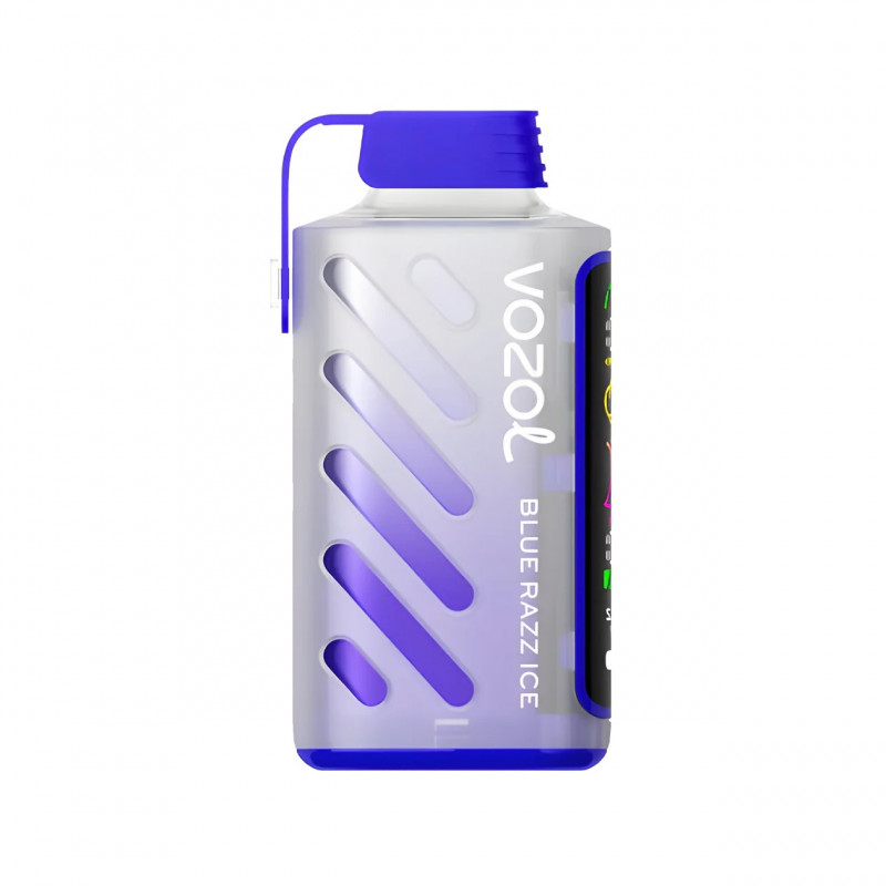 VОZOL GEAR 20000 Черника, Лед