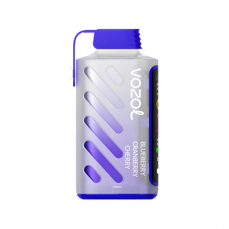 VОZOL GEAR 20000 Черника, Клюква, Вишня