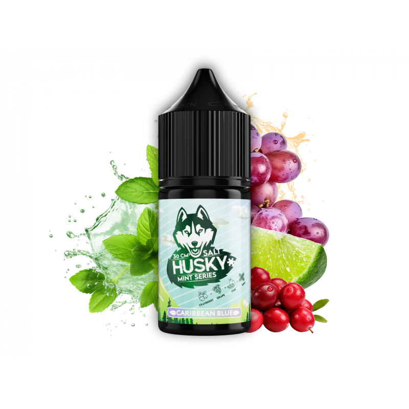 Жидкость HUSKY Mint Series Salt Caribbean Blue (Клюква, виноград и лайм с перечной мятой) 30 мл Strong